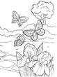 Laminas para colorear dibujos de primavera mariposas